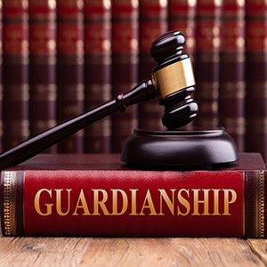Gavel resting on a red book labeled "**GUARDIANSHIP**" against a backdrop of law books in South Carolina.